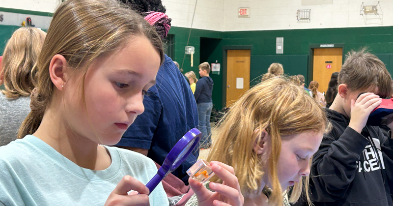 Girl uses magnifying glass to look at encased bug