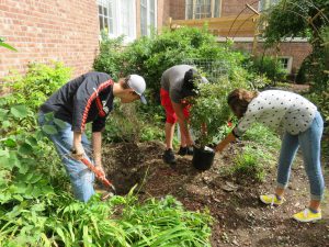 students plant a rose bush in honor of the 100 year anniversary of the end of WWI