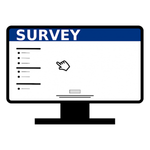 Survey art