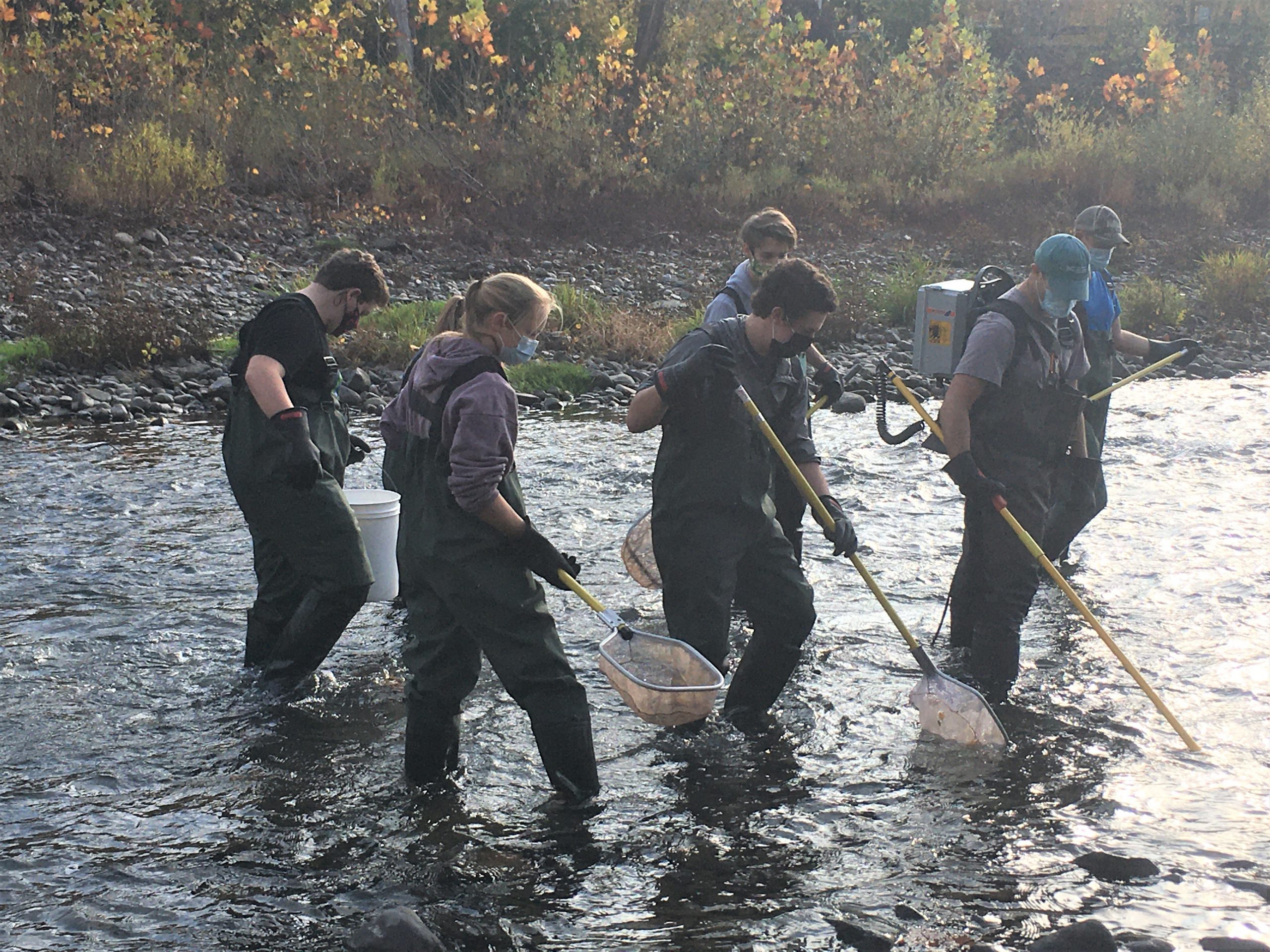 students searching for fish with nets along with DEC specialists