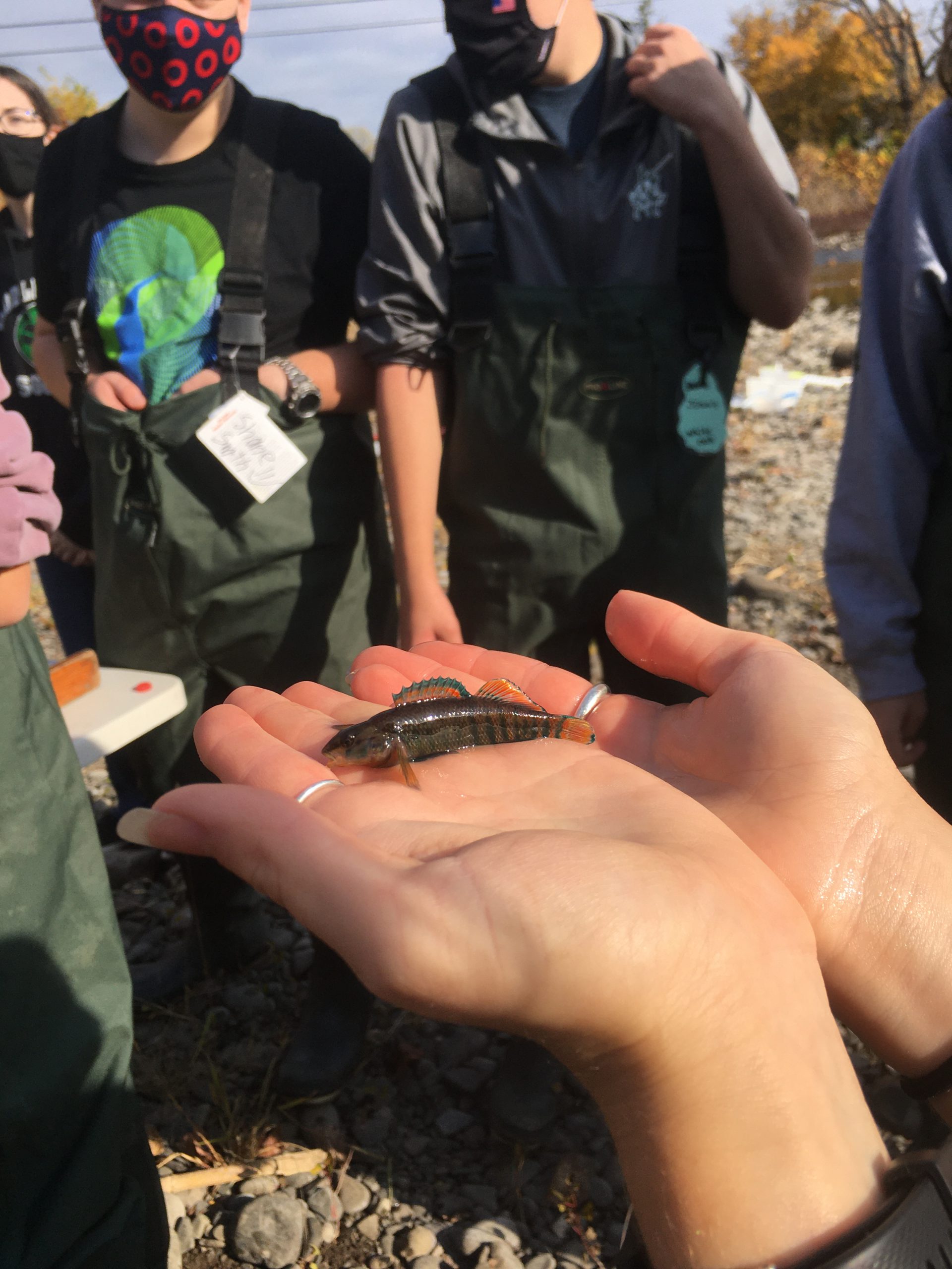student holds small fish