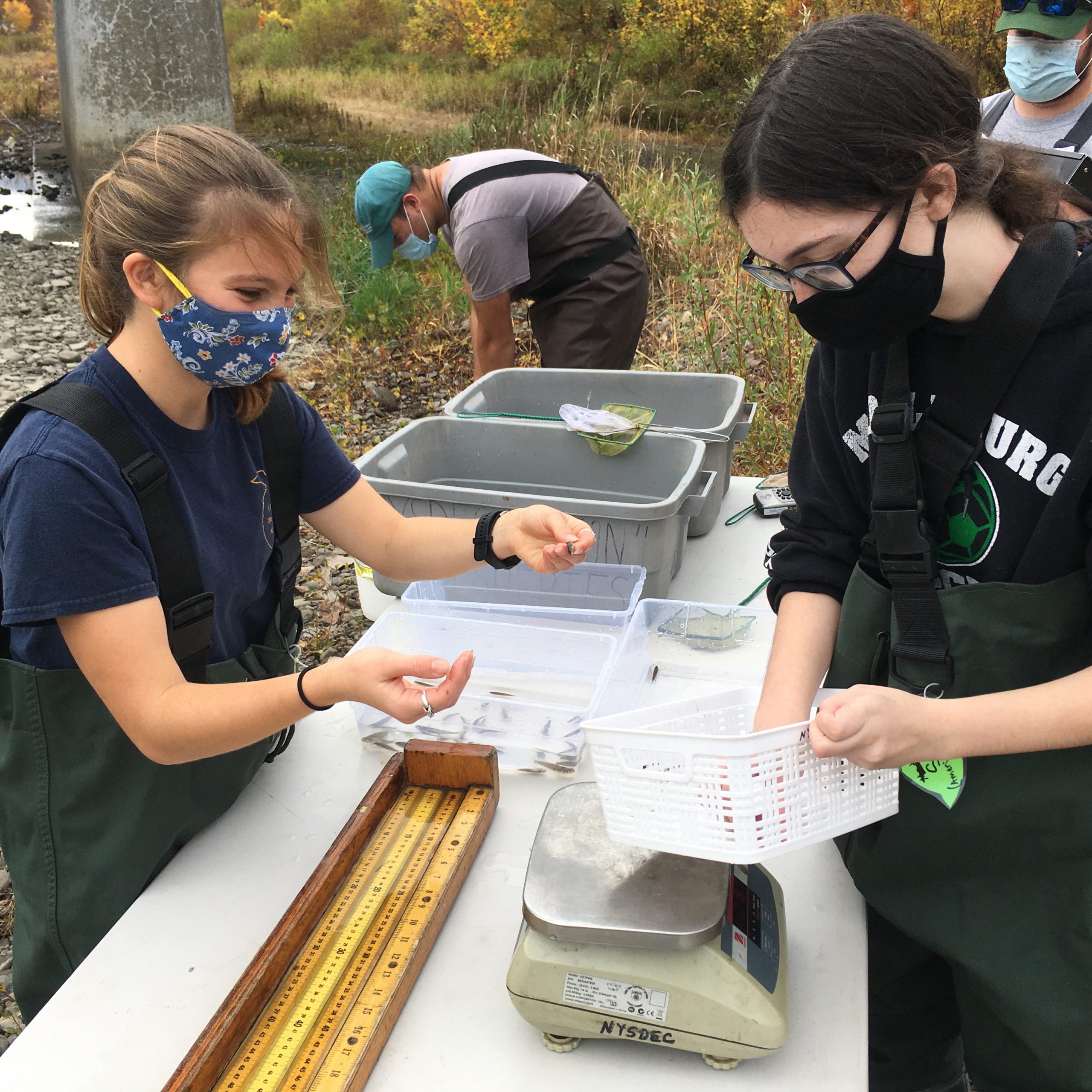 two female students examine species found in Schoharie Creek 