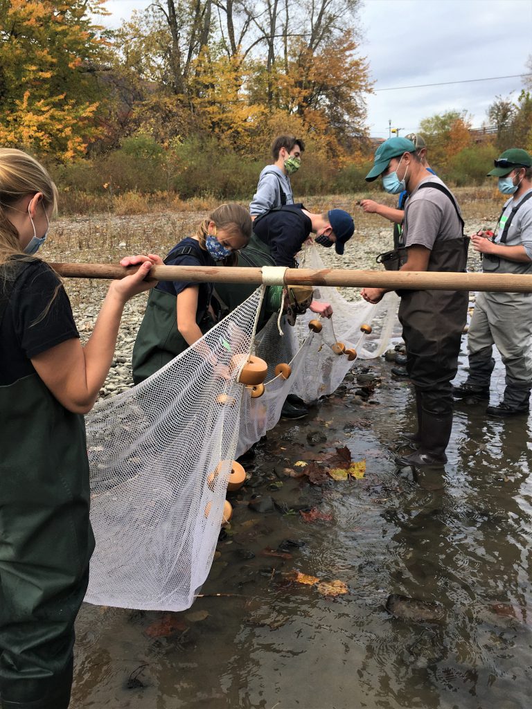AP environmental science students help DEC catch fish for water quality study