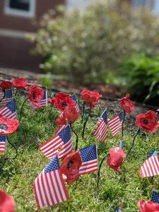 red ceramic poppies in the ground with small American Flags Around them