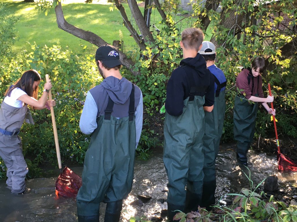 five students in protective clothing standing in a creek getting samples
