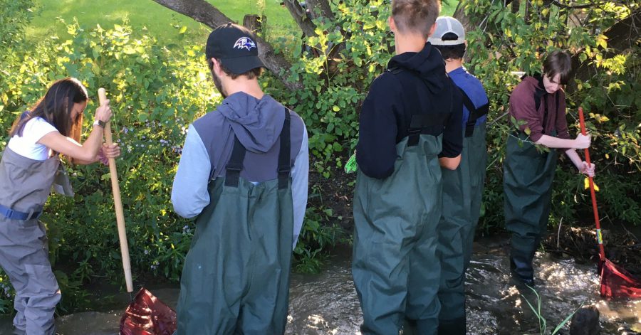 five students in protective clothing standing in a creek getting samples
