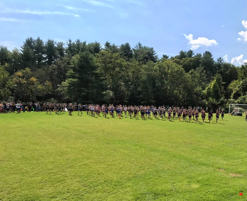 a sea of cross country runners traveling through a grassy field with blue sky and a few clouds