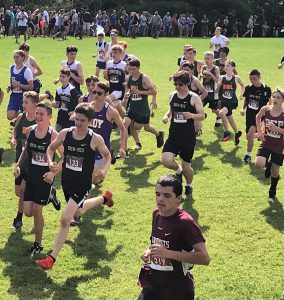 many cross country runners pacing themselves at a meet, running through a field