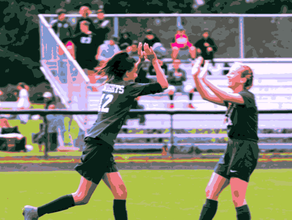 two soccer players high five each other during a game with the crowd cheering behind them