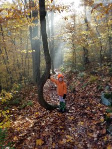 young girl dressed in orange standing in the woods with leaves all around her