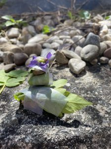 three rocks stacked with purple flowers on top