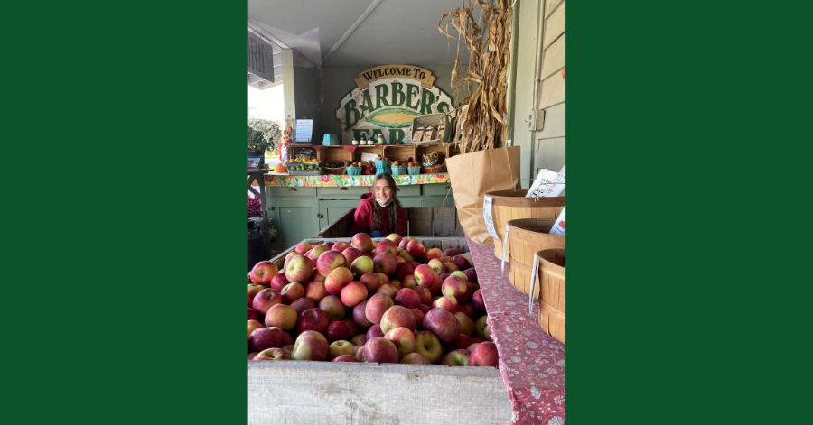 A teenage girl sits inside an apple crate. In front of her is another crate filled with apples.