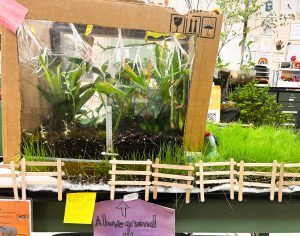 Ecosystem display with grass and plants.