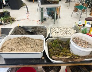 sand, rock stone, moss in bins.