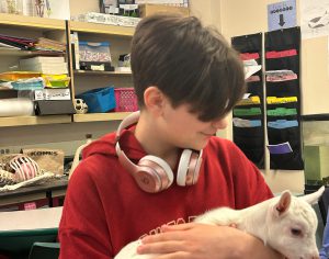 Teen holding goat