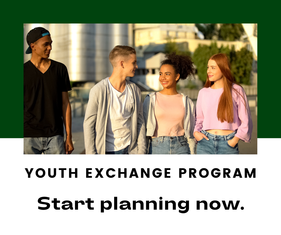 four teens in a group. Youth Exchange Program. Start planning now.