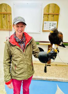 Amy Irwin stands with a bird on her wrist. She is wearing a protective glove.