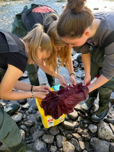 Students in creek examining specimin.