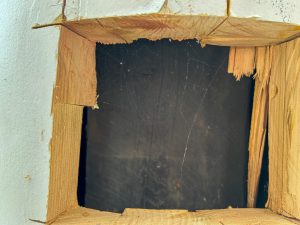 White column with inspection opening near base.