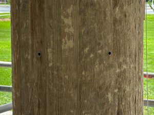 Close up of ventilation holws in bare wood columns after paint removal.